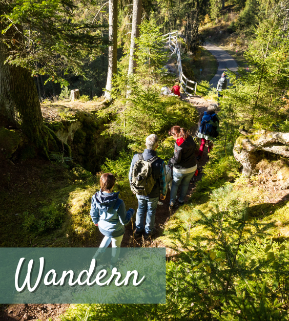Gruppe von Wanderern mit Rucksäcken geht hintereinander auf schmalem Waldpfad, umgeben von Nadelbäumen und Sonnenlicht; unten links der Schriftzug „Wandern“.