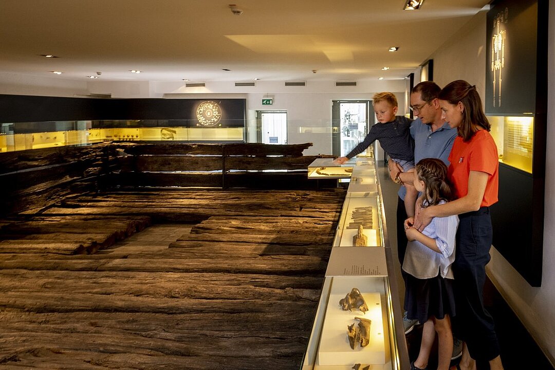 Drei Personen betrachten in einem Museum eine Vitrine mit einem Skelett. (KI generiert)