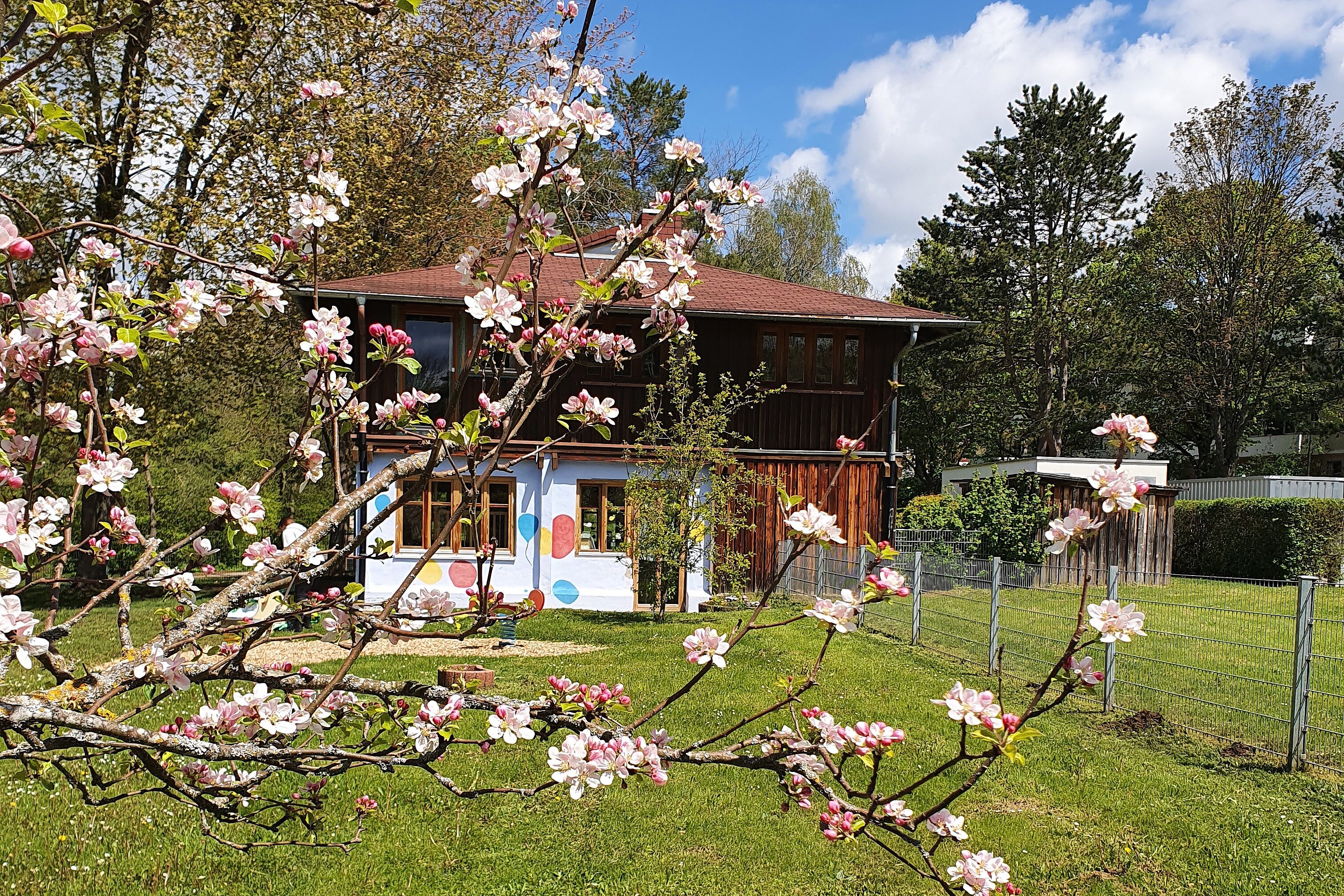 Zweistöckiges Holzhaus in großem Garten im Frühling; im Vordergrund blühende Obstbaumzweige, grüner Rasen und blauer Himmel.