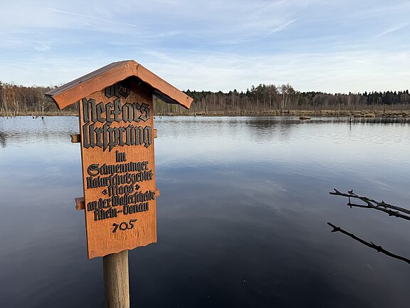 Holztafel mit geschnitzter, gotischer Schrift auf einem Pfahl am Ufer eines ruhigen Sees, im Hintergrund Wald und blauer Himmel.