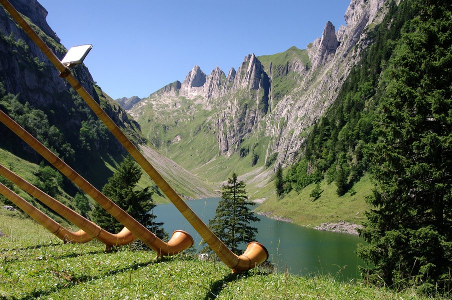 Auch wenn das Alphorn ein eher seltenes Instrument in unserer Region ist, gibt es in unserer Musikakademie einmal im Jahr einen Kurs, um dieses Instrument zu erlernen.