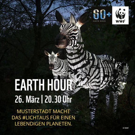 WWF_EH_2022_SoMe_1080x1080_Stadt_Zebra.jpg 