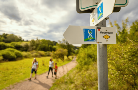 Wanderweg Schwenninger 8 (PDF, 2,1 MB)