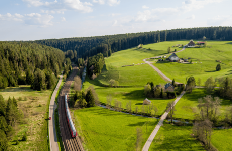 Waldpfad Groppertal (PDF, 2,3 MB)