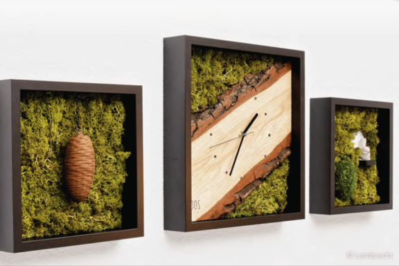 Drei wandmontierte Schattenboxen mit grünem Moos: links ein zapfenförmiges Naturobjekt, in der Mitte eine Holz-Uhr mit Rindenrand und schwarzen Zeigern, rechts eine Moosbox mit einer kleinen weißen Skulptur.