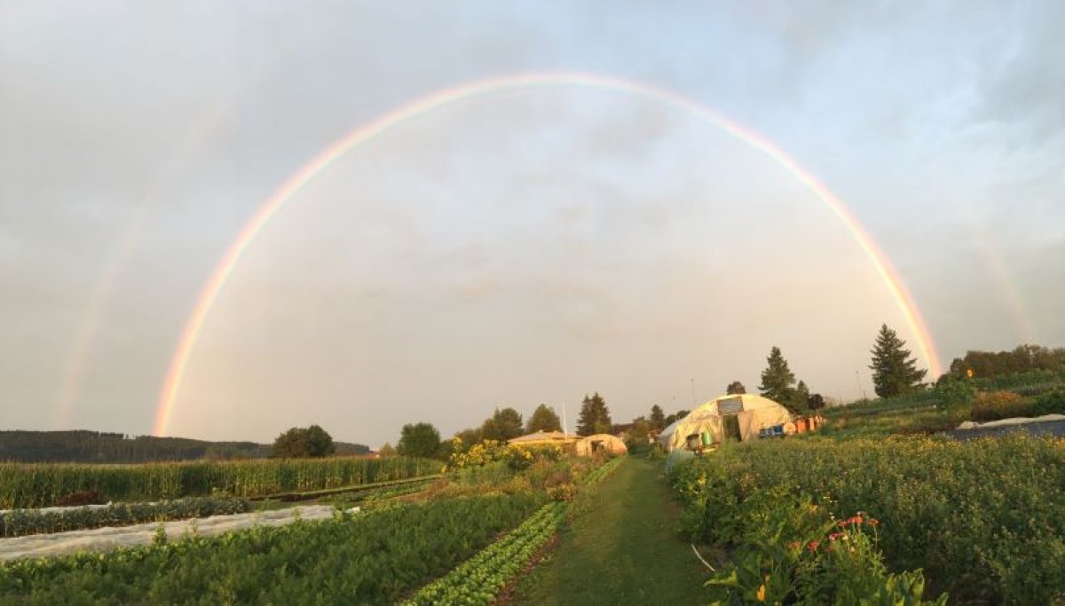 Acker der Solidarischen Landwirtschaft Baarfood
